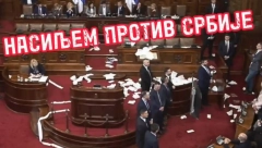 "NASILJEM PROTIV SRBIJE!" Ovako đilasovci poštuju srpske narodne institucije (VIDEO)