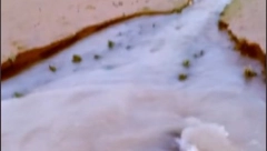 RIBA, ILI NEŠTO DRUGO? Misteriozno stvorenje izranja iz mutne vode, dobro protrljajte oči! (VIDEO)