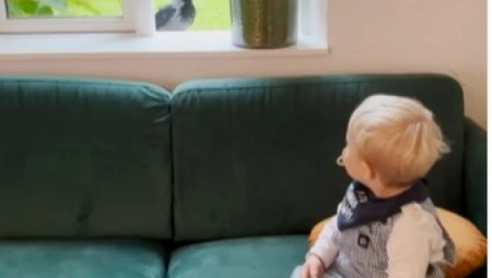 RASEL I OTO SU NAJBOLJI DRUGARI Snimak dirljivog prijateljstva između bebe i vrane će vam izmamiti suze! (VIDEO)