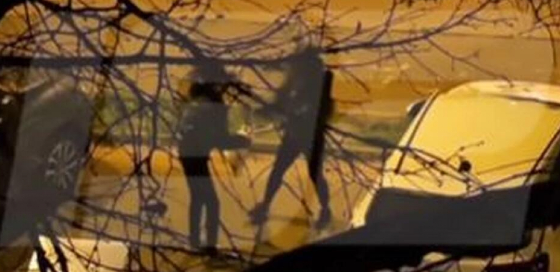 ČUPANJE KOSE, PESNICE U GLAVU Brutalna tuča devojaka na Konjarniku, kamere sve snimile (VIDEO)