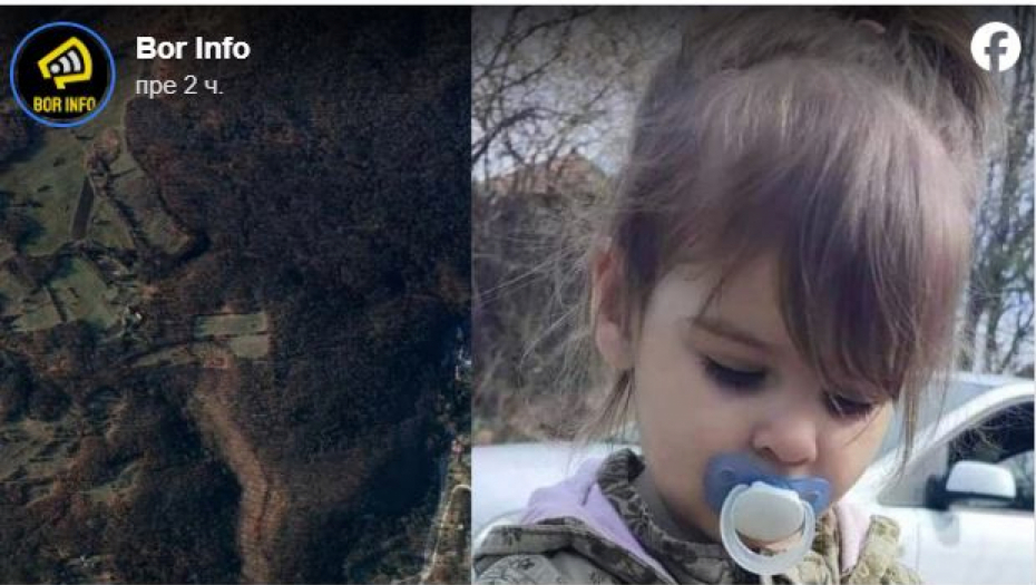 U POTRAGU UKLJUČENI I PSI TRAGAČI: Više od 300 ljudi traži malu Danku (2) po šumi, MRAK i kiša prave veliki problem