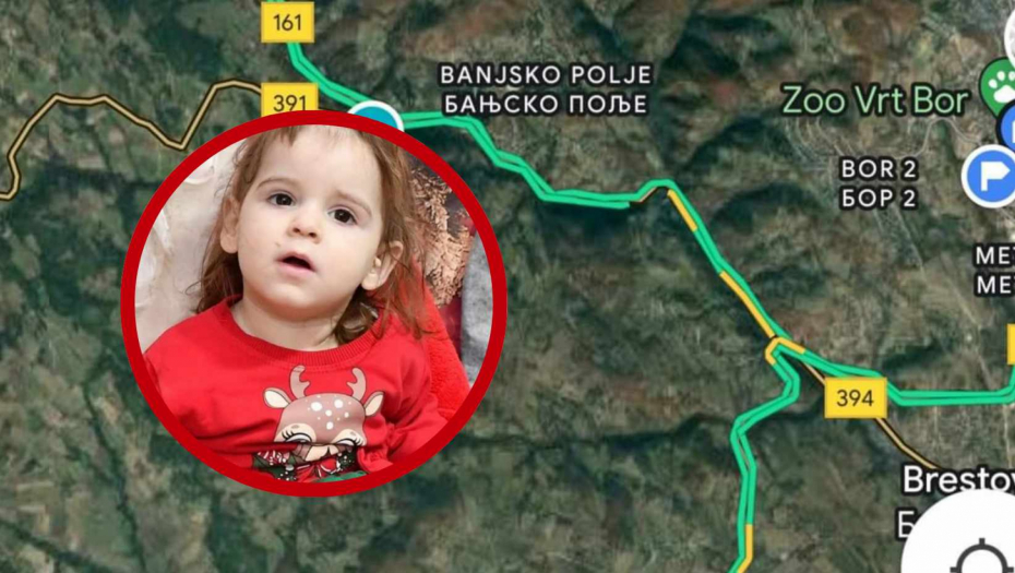 MAJKA DANKE ILIĆ ČETVRTI PUT U POLICIJI Otkriveno zbog čega je sad ispituju