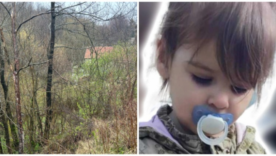 U OVU ŠUMU JE ODŠETALA MALA DANKA (2) Ovako izgleda teren gde je nestala mala Danka (2)