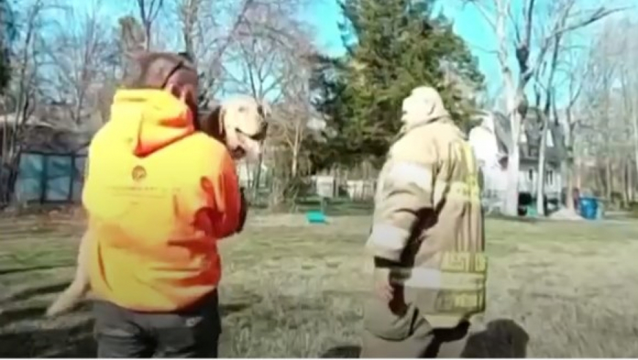 PANIČIO JE, NIJE MU BILO SPASA Pogledajte kako vatrogasci spasavaju psa koji se zaglavio u točku (VIDEO)
