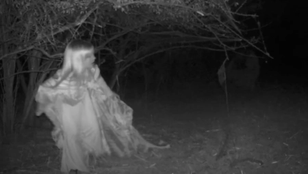 "NESMIRENE DUŠE!" Devojčica je išla šumom po mrklom mraku, a onda se iza nje pojavilo strašno stvorenje (VIDEO)