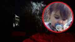 SVEDOK JE DAO IZJAVU, SNIMAK JE OBEZBEĐEN Oglasila se policija Beča o videu devojčice za koju se sumnja da je Danka