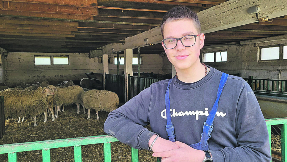 ĐACI NAPRAVILI FARMU SVINJA I GOVEDA Ova deca sama proizvode ono što pojedu, a šta ostane prodaju
