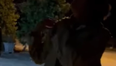 BLOKADA FILOZOFSKOG FAKULTETA U NOVOM SADU ULAZI U TREĆI DAN Evo kako izgleda autentični novosadski autošovinista! (VIDEO)