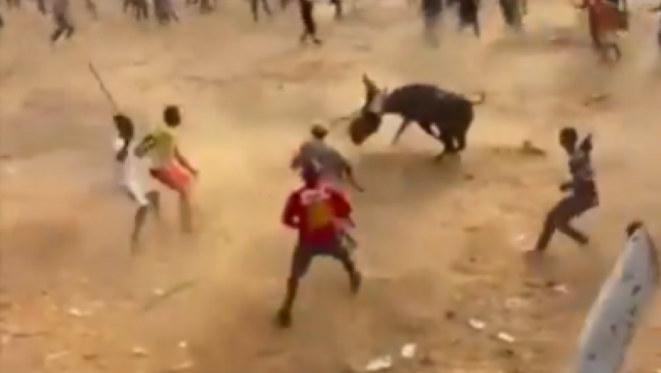 ZVER GAZI SVE ŠTO VIDI Razjareni bik uleteo u publiku i ubio 2 čoveka (VIDEO)