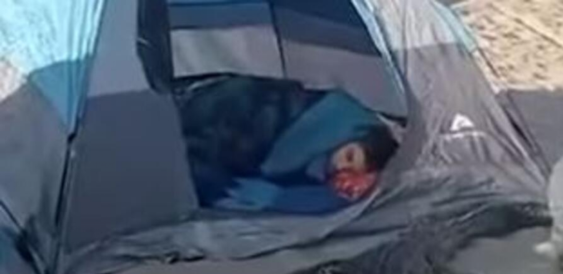 DOĐI OVAMO DA TI OTKINEM GLAVU Turiste vreba opasna ZVERINA! Snimak se širi mrežama (VIDEO)