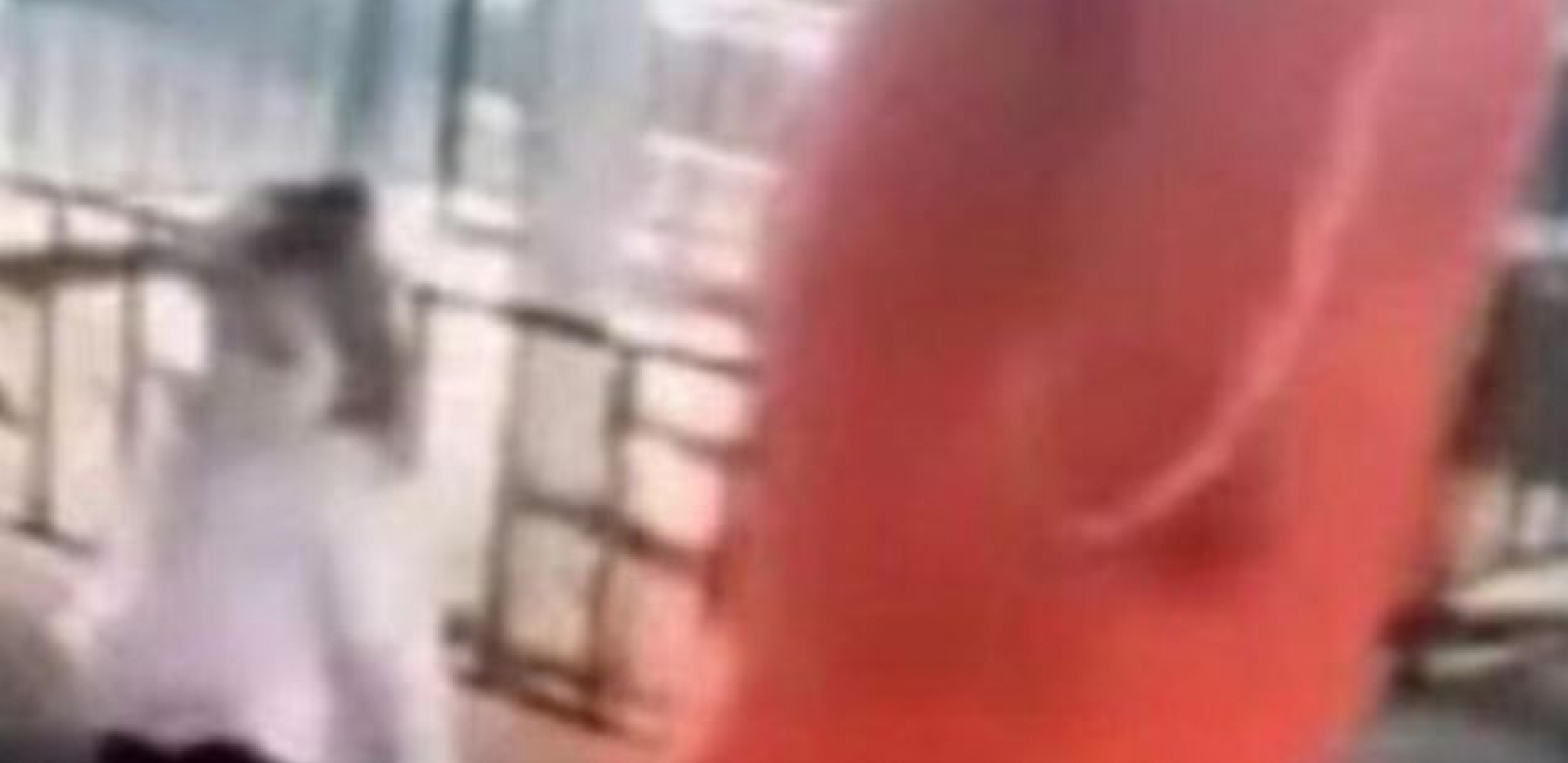 "TO NIJE DANKA VEĆ MOJA ĆERKA" Austrijski medij tvrdi da je pronašao ženu sa snimka iz Beča na kojem je devojčica koja liči na nestalu Danku