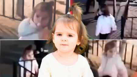 "SUMNJA SE NA OTMICU DETETA" Oglasio se portparol austrijske policije o snimku devojčice koja liči na Danku!