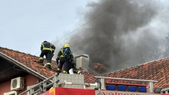POŽAR U NOVOM SADU Gori krov kuće, tri vatrogasna vozila na terenu (FOTO/VIDEO)