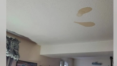 KAD JE ČULA ŠTA JE, ŽIVOT JOJ SE SMUČIO Žena nikako nije mogla da skine fleke s plafona, a onda je saznala od čega nastaju