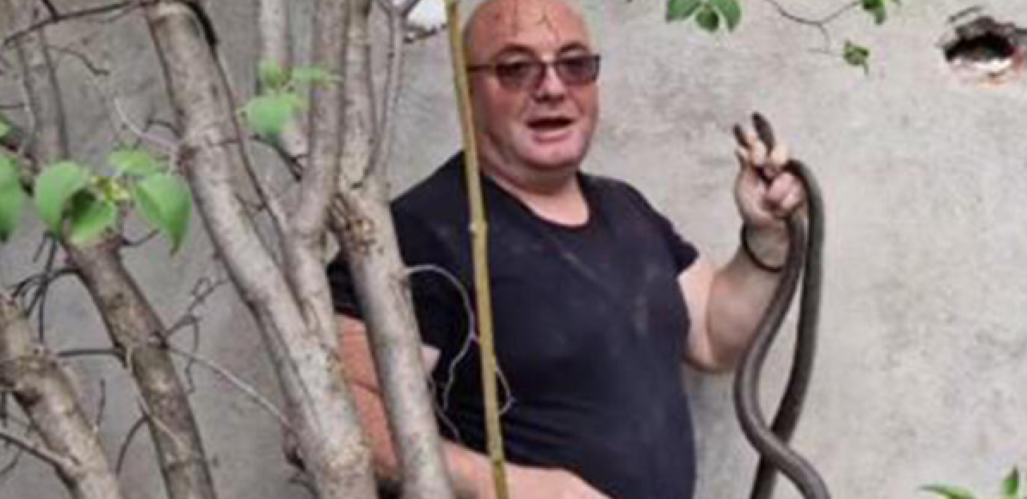 NAJEZDA ZMIJA U BEOGRADU! Sugrađanin u dvorištu pronašao LEGLO, čuveni hvatač zmija otkrio ŠTA raditi ako vas ujede!