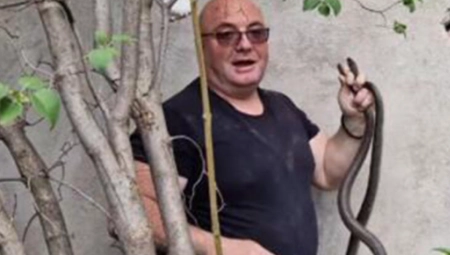 NAJEZDA ZMIJA U BEOGRADU! Sugrađanin u dvorištu pronašao LEGLO, čuveni hvatač zmija otkrio ŠTA raditi ako vas ujede!