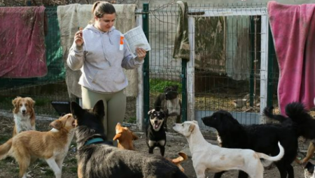 PSI, MAČKE, KONJI Andrea iz Sombora pruža ljubav životinjama, ima ih preko 40, ali uskoro svi mogu završiti na ulici (FOTO/VIDEO)