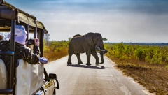 LJUDI U PANICI BEŽALI Jeziv prizor na safariju, slon prevrnuo auto pa uradio ovo (VIDEO)