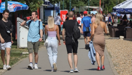 KUGLA SLADOLEDA 250 DINARA! "Za dvoje ništa bez hiljadarke!"