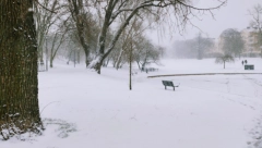 APOKALIPSA NA SEVERU EVROPE Švedska zavejana, ljudi zarobljeni u vozilima, nadležni i dalje na uskršnjem odmoru? (FOTO/VIDEO)