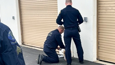 DOŠAO U STANICU S KARTONSKOM KUTIJOM Kad je policija videla šta je unutra, nisu mogli da veruju! (FOTO)