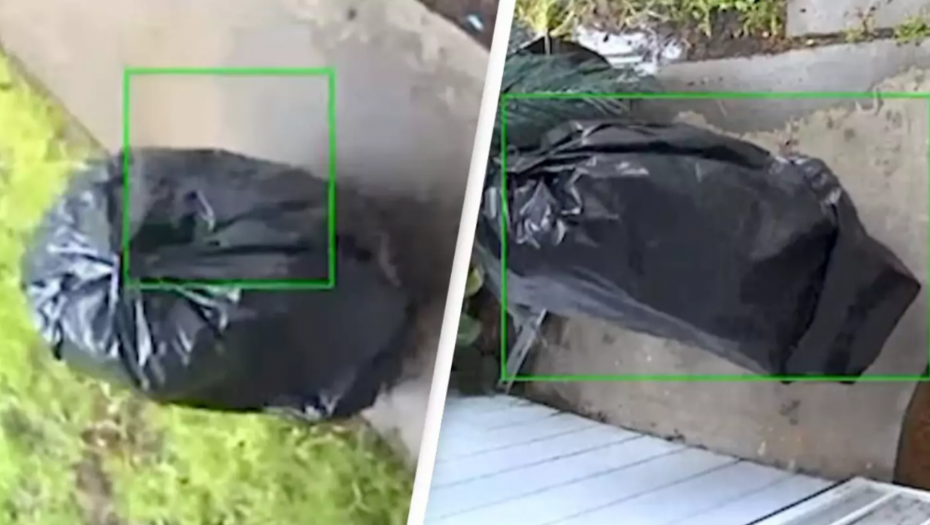 ĐUBRE LOPOVSKO Prerušio se u kesu, pa krenuo da krade po komšiluku (VIDEO)