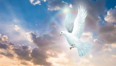 HOROSKOP ZA 4. SEPTEMBAR Jarcu pohvale na poslu, Biku interesantno poznanstvo, Lava muči nesanica