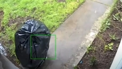 LOPOV U AKCIJI KRADE PO DVORIŠTU Evo kako se maskirao kradljivac, snimak sa nadzornih kamera je hit! (VIDEO)