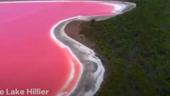 REŠENA MISTERIJA RUŽIČASTOG JEZERA Evo zbog čega je zapravo roze! (VIDEO)