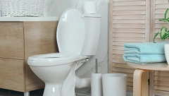 ZABORAVITE NA RIBANJE Napravite tabletu za čišćenje wc šolje koja će ukloniti prljavštinu i neprijatne mirise