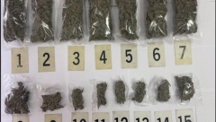 ZAPLENJENA MARIHUANA! Uhapšen osumnjičeni Pančevac