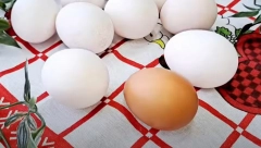 NAJBRŽI NAČIN DA IZBELITE USKRŠNJA JAJA U vodu dodajte samo jedan sastojak i za 10 minuta ljuska će dobiti bisernu boju