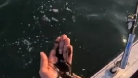 BESPLATNO TETOVIRANJE Čovek premazao ruke MASTILOM IZ LIGNJE, pa se GORKO POKAJAO (VIDEO)