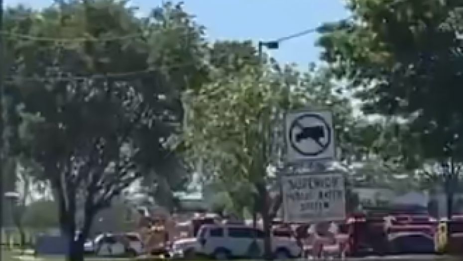 KRVAVA PUCNJAVA U ŠKOLI Zastrašujuća scena u SAD (VIDEO)