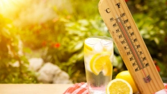 DANAŠNJI DAN OBARA SVE REKORDE Najtopliji 14. april u Beogradu otkad se meri temperatura
