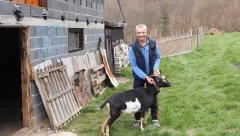 BIO BI SREĆAN DA IMA BAR DVE KOZE Zbog očevih batina zaboravio da čita i piše