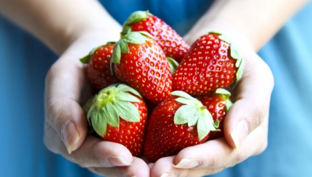 PROVERENI TRIK Jagode će ostati sveže 10 dana samo ako ih čuvate na ovaj način