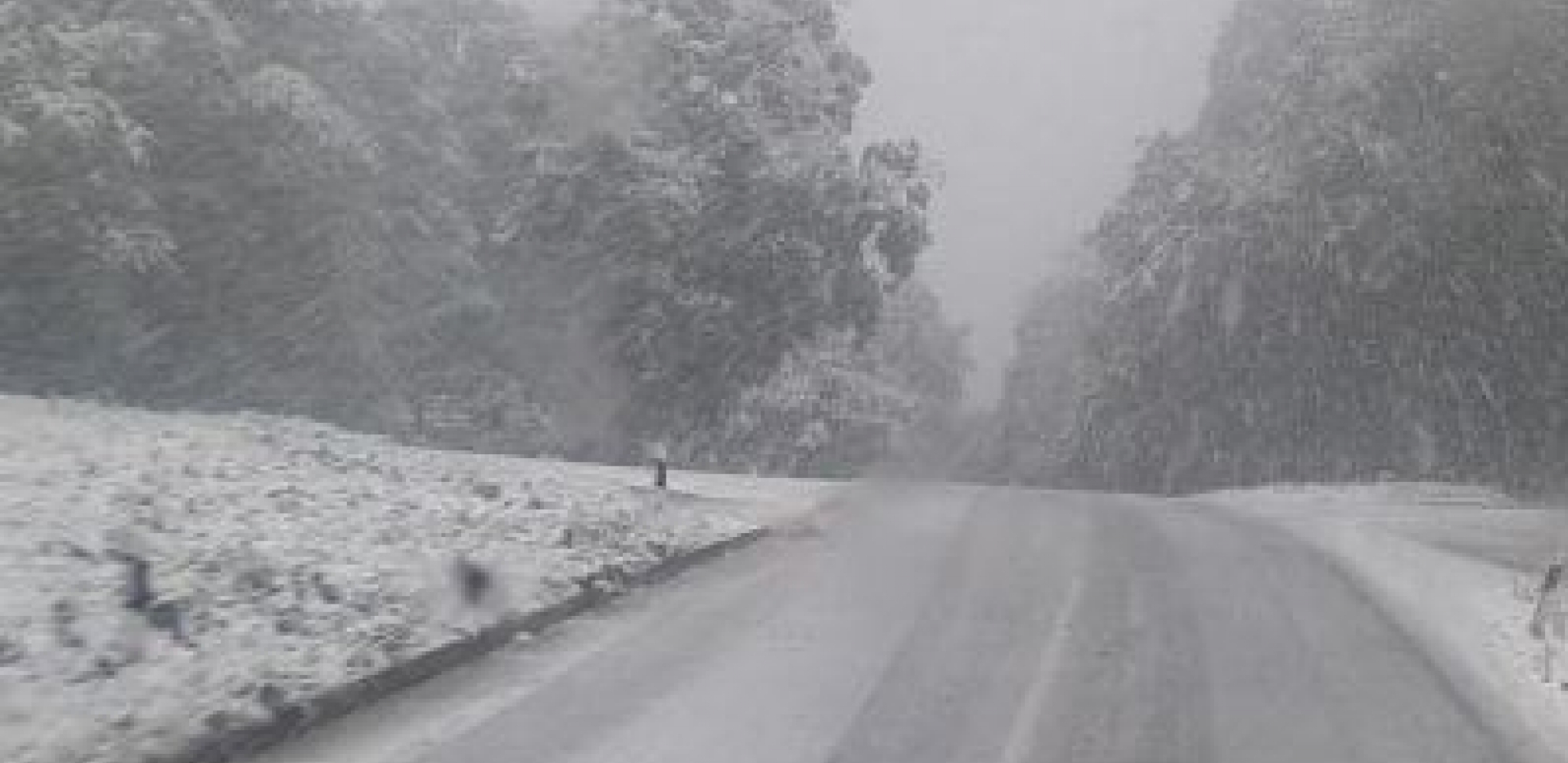 SNEG NA FRUŠKOJ GORI! Vejavica na Iriškom vencu (FOTO)