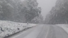 SNEG NA FRUŠKOJ GORI! Vejavica na Iriškom vencu (FOTO)