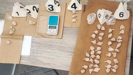 DOLIJALI DILERI Hapšenje u Novom Beogradu i Jakovu