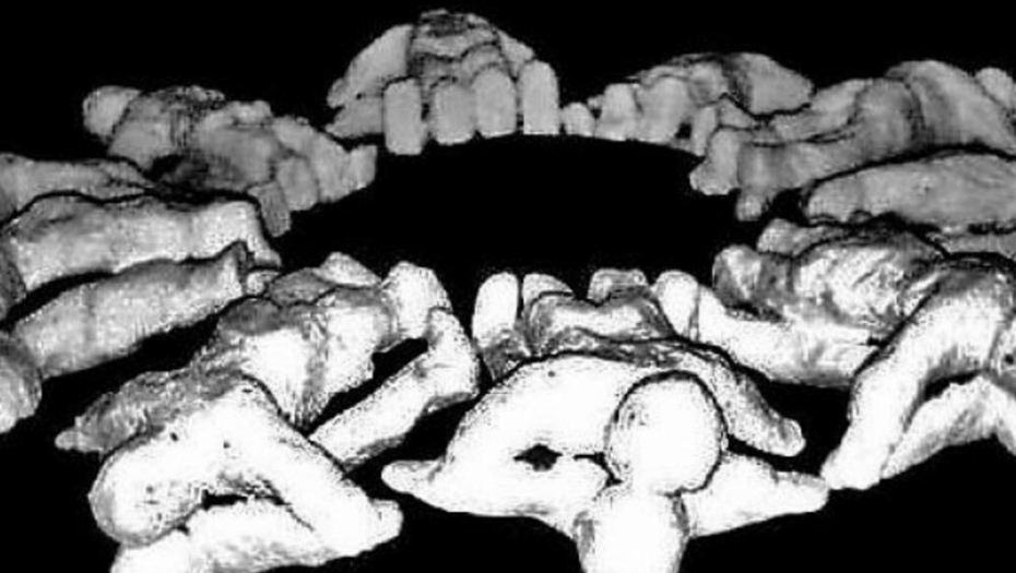 USTAŠE SU POKLALE 20 SRPSKIH DEČAKA I DEVOJČICA Postavili su ih na proplanku u krug, jedno na drugo! Ovo je bi jedan od najvećih horora koje je počinila NDH