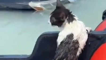 GRČEVITA BORBA ZA ŽIVOT POSLE ZASTRAŠUJUĆE OLUJE Snimak spasavanja iz Dubaija obišao planetu, "ne nose svi heroji plašt!"