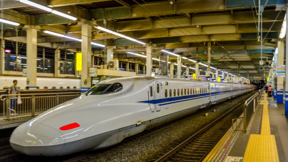 PUTNICI PRIJAVILI DA SU U VOZU VIDELI ZMIJU! Vožnja odmah obustalvjena, 2.700 putnika POMAHNITALO tražili životinju!