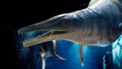 DUŽI OD DVA AUTOBUSA Fosil ogromnog drevnog gmizavaca pronađen u Britaniji