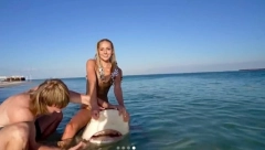 ZAJAHALA AJKULU PA OSETILA KRV Kamera sve snimila, odmah se pokajala zbog poteza! (VIDEO)