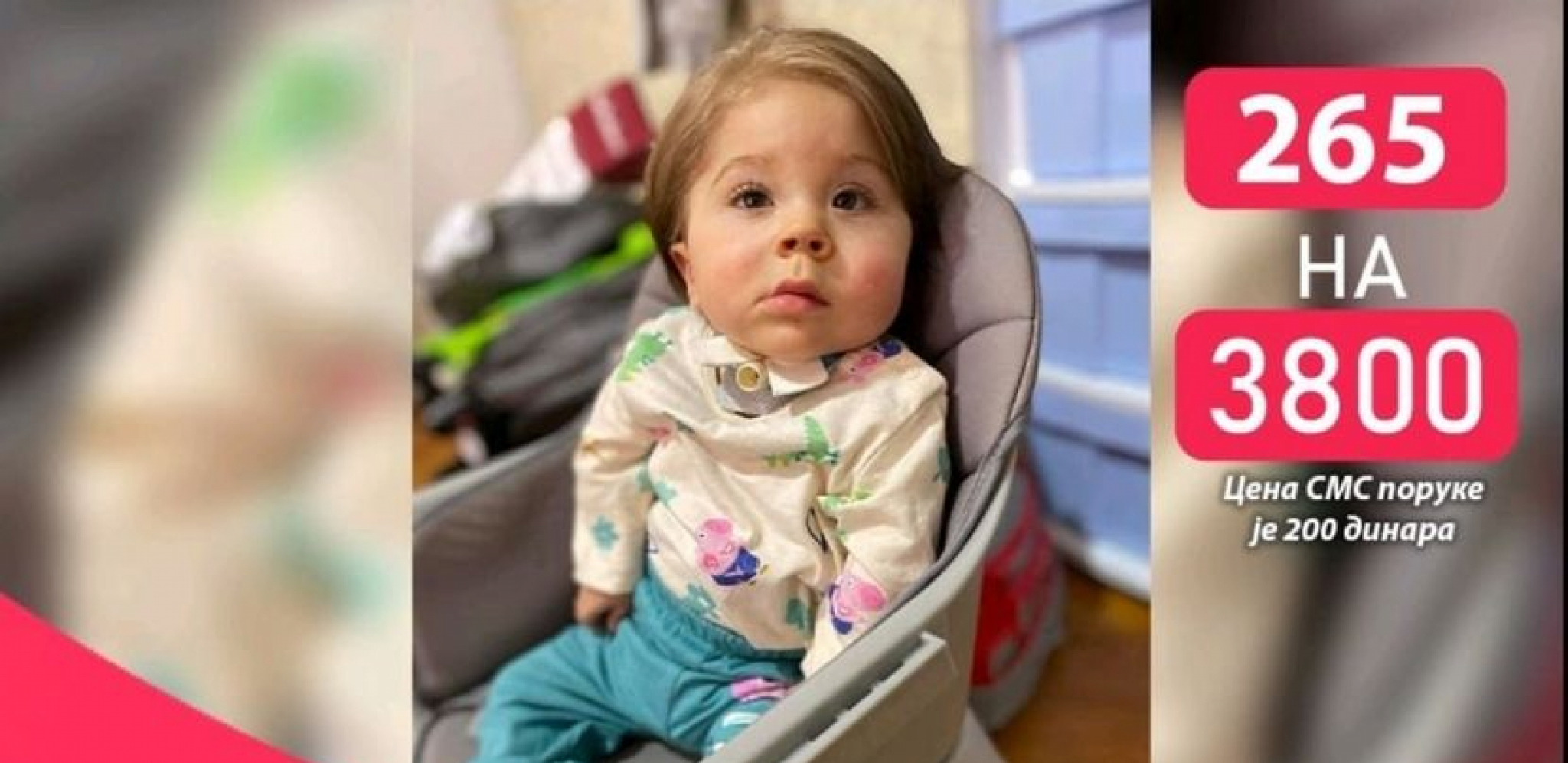 DA SE MALI VUK ŠTO PRE OPORAVI Naša pomoć mu je sada najpotrebnija!