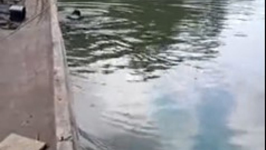 ČOVEK PLOVIO REKOM, A ONDA NAIŠAO NA NEŠTO NEVEROVATNO Divlja zver izronila iz vode, popela se u čamac kao da je taksi!(VIDEO)