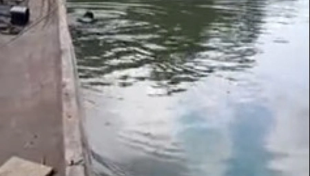 ČOVEK PLOVIO REKOM, A ONDA NAIŠAO NA NEŠTO NEVEROVATNO Divlja zver izronila iz vode, popela se u čamac kao da je taksi!(VIDEO)