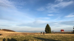 Jedna od najlekovitijih planina u Srbiji, a malo ko za to zna: Na Javor dolaze astmatičari, anemični i oni sa slabim imunitetom - iz prirodne oaze odlaze preporođeni