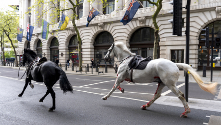 HAOS NA LONDONSKIM ULICAMA! Oglasila se policija: "Konji britanske konjice pobegli sa vežbe" (FOTO)
